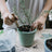 Entretien et culture des plantes