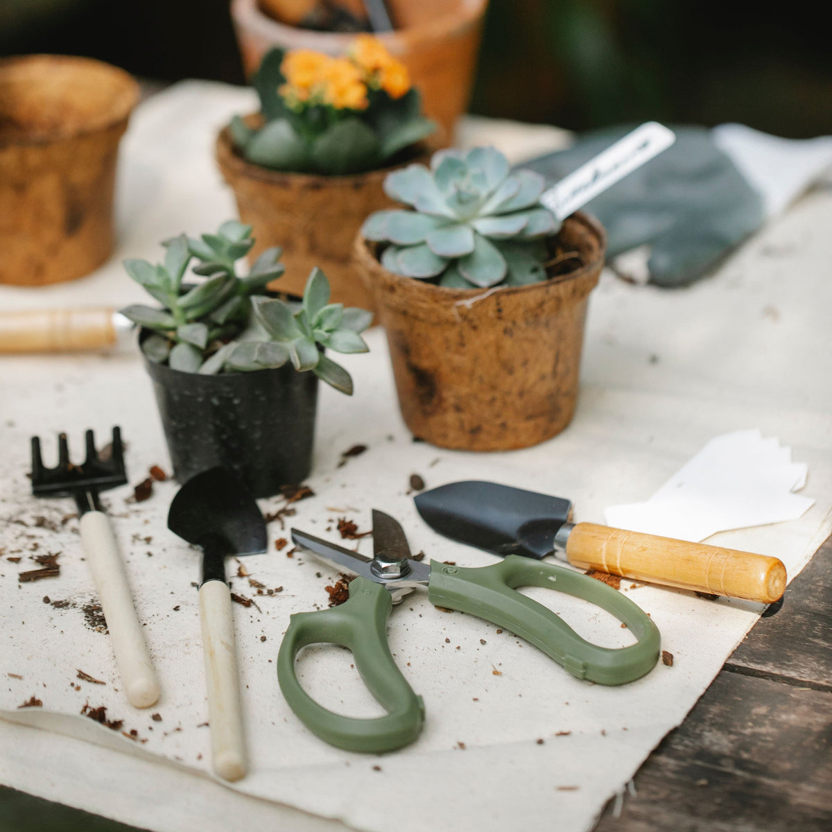 Autres accessoires de jardin
