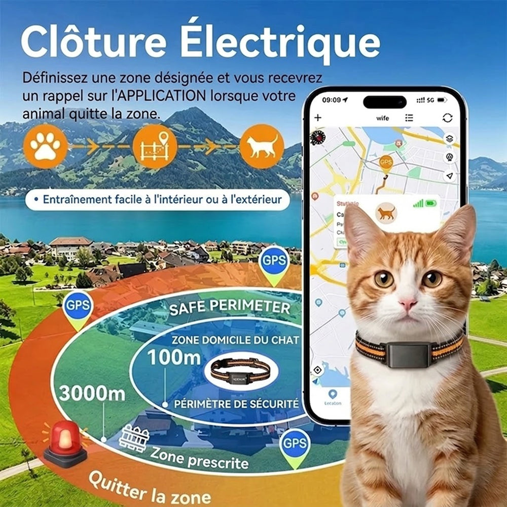 Collier GPS pour Chat PawiTrack Traceur 4G Étanche IP65