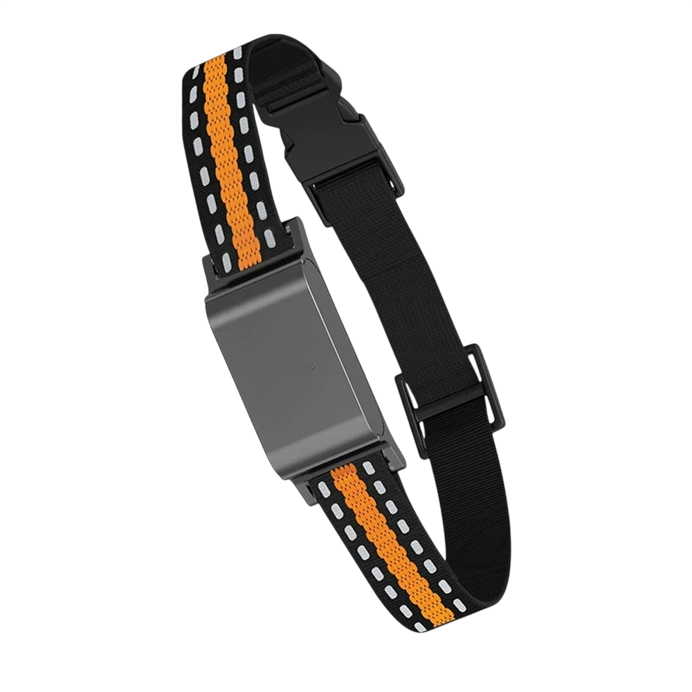Collier GPS pour Chat PawiTrack Traceur 4G Étanche IP65