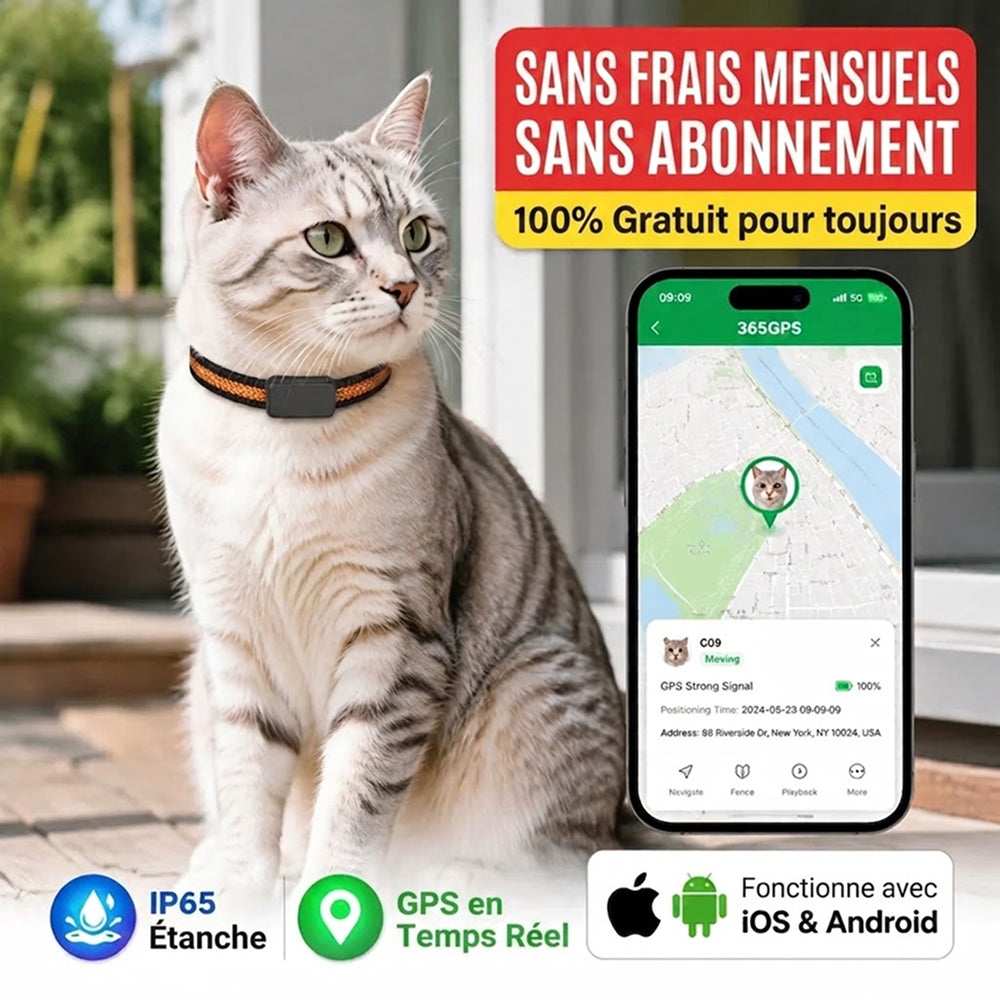 Collier GPS pour Chat PawiTrack Traceur 4G Étanche IP65