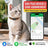 Collier GPS pour Chat PawiTrack Traceur 4G Étanche IP65