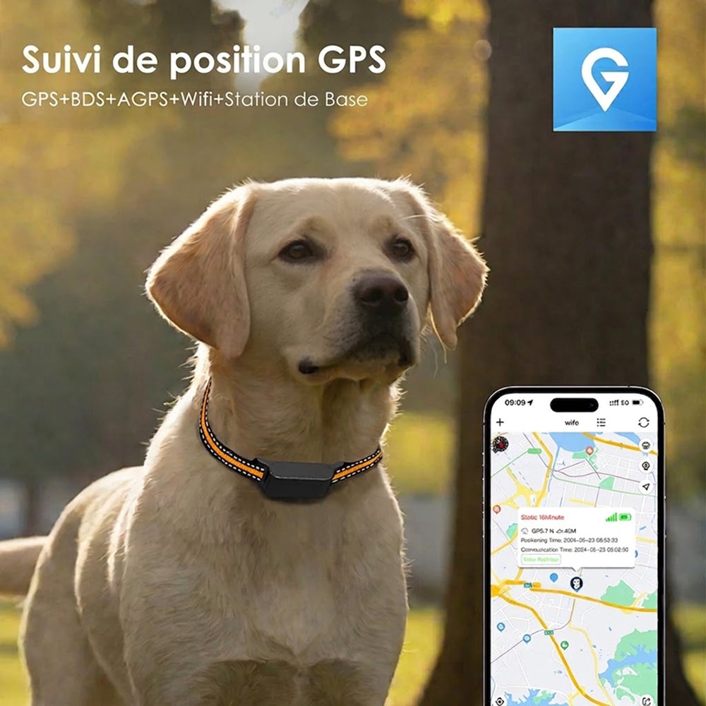 Collier GPS pour Chat PawiTrack Traceur 4G Étanche IP65