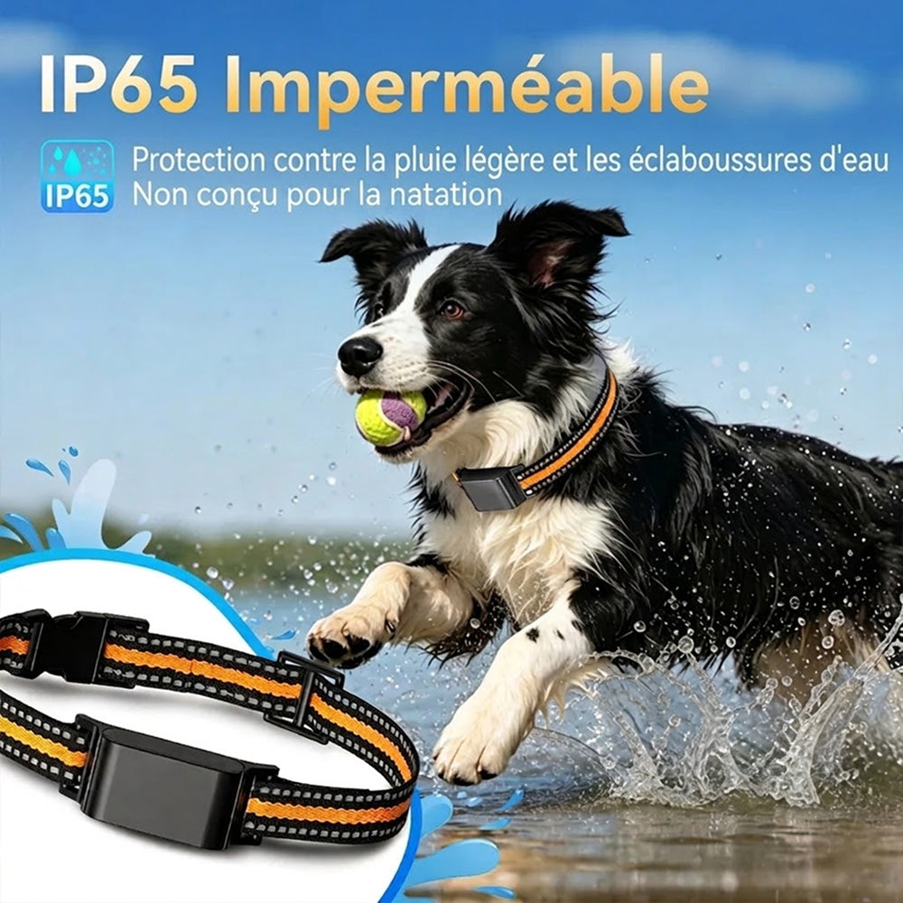 Collier GPS pour Chat PawiTrack Traceur 4G Étanche IP65
