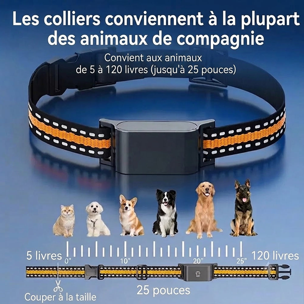Collier GPS pour Chat PawiTrack Traceur 4G Étanche IP65