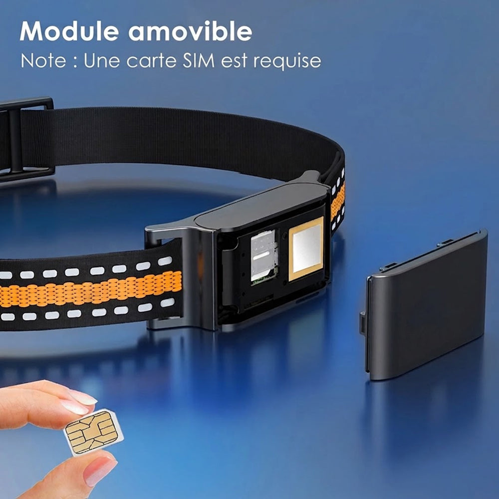 Collier GPS pour Chat PawiTrack Traceur 4G Étanche IP65