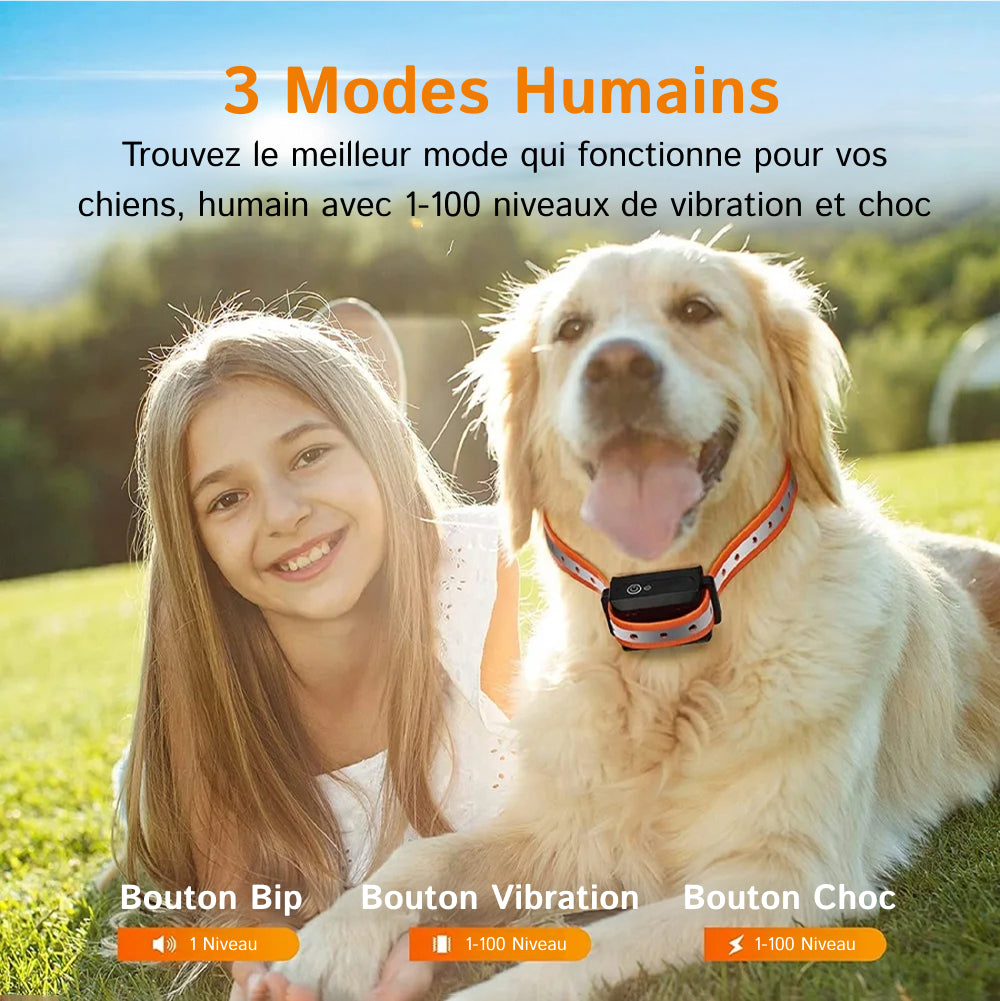Collier de Dressage pour Chien PawGofu 1000m Étanche IP67