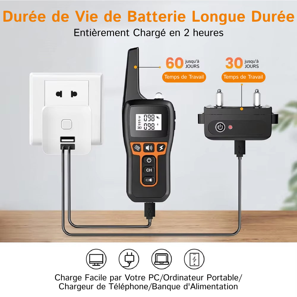 Collier de Dressage pour Chien PawGofu 1000m Étanche IP67