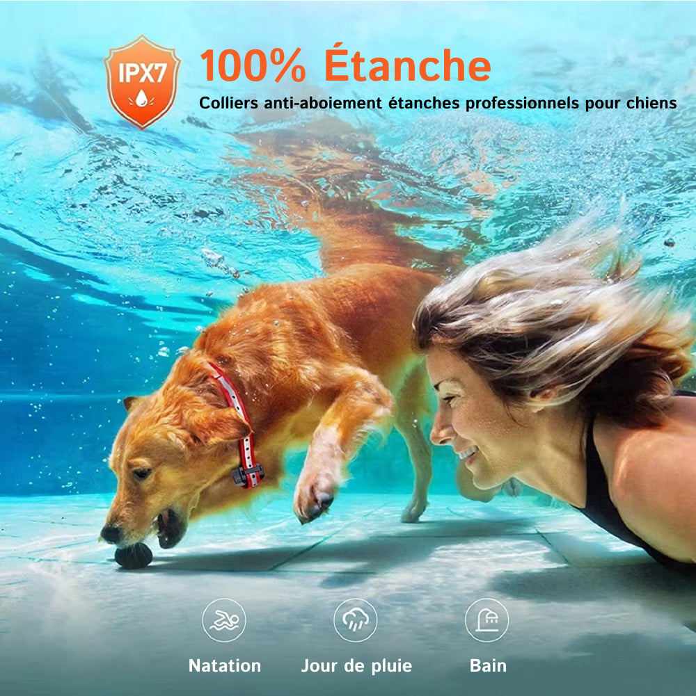 Collier de Dressage pour Chien PawGofu 1000m Étanche IP67