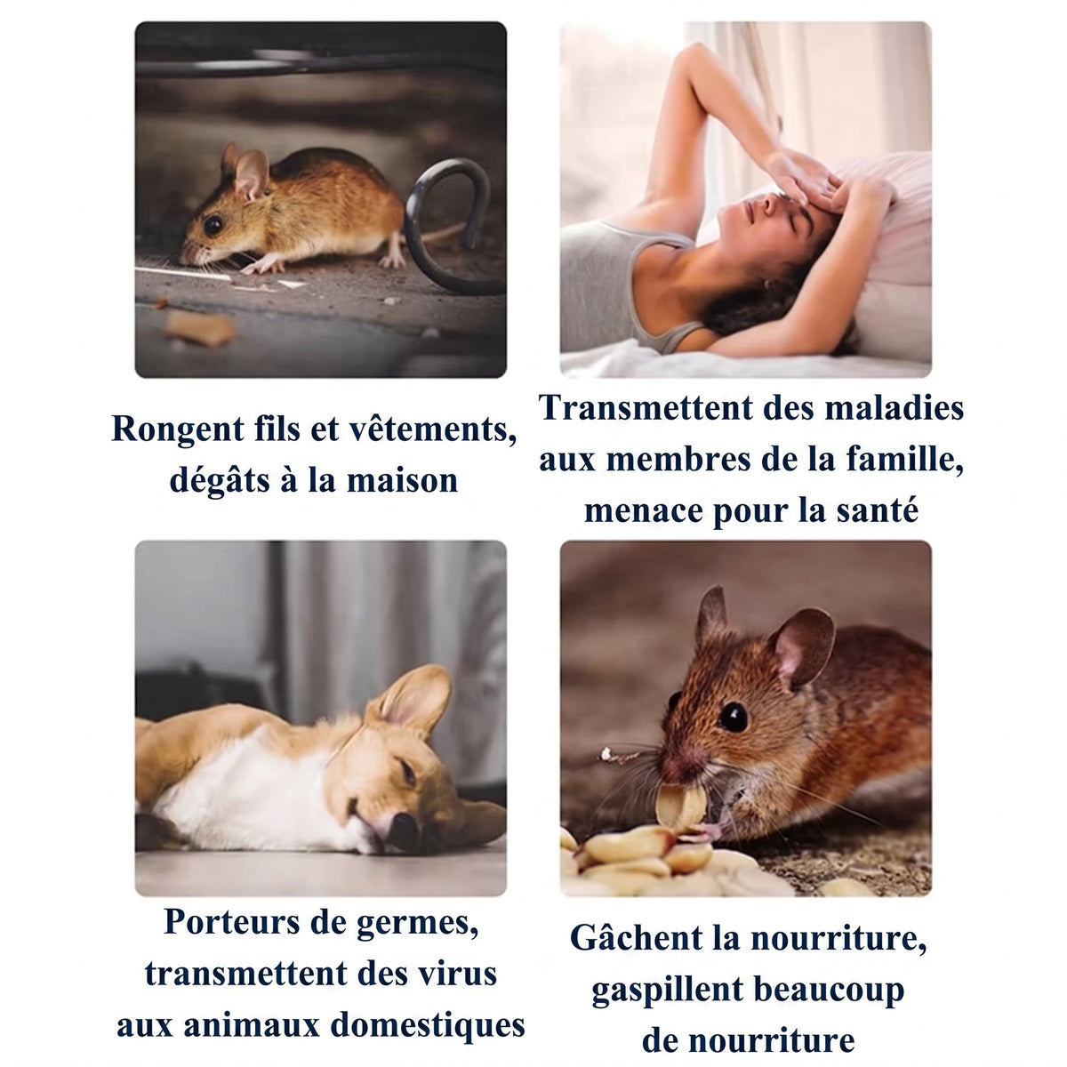 PestixOff