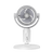 VortixVex